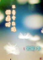 Ⱥ�ǻ���(H)