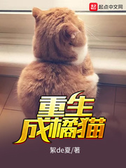 ��������è